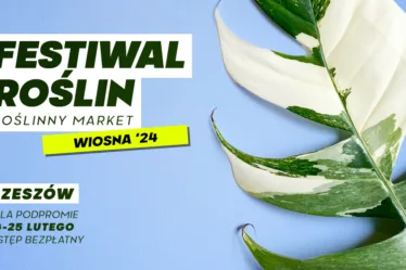 festiwal roślin