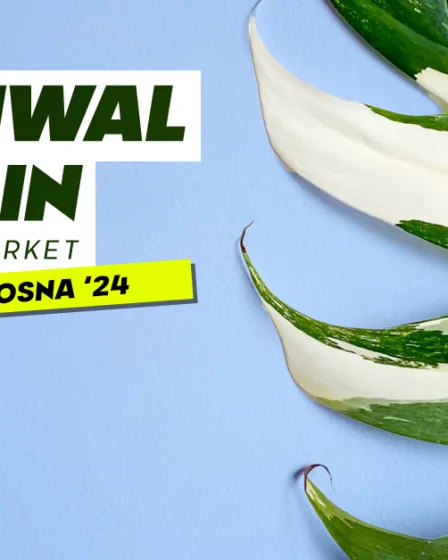 festiwal roślin